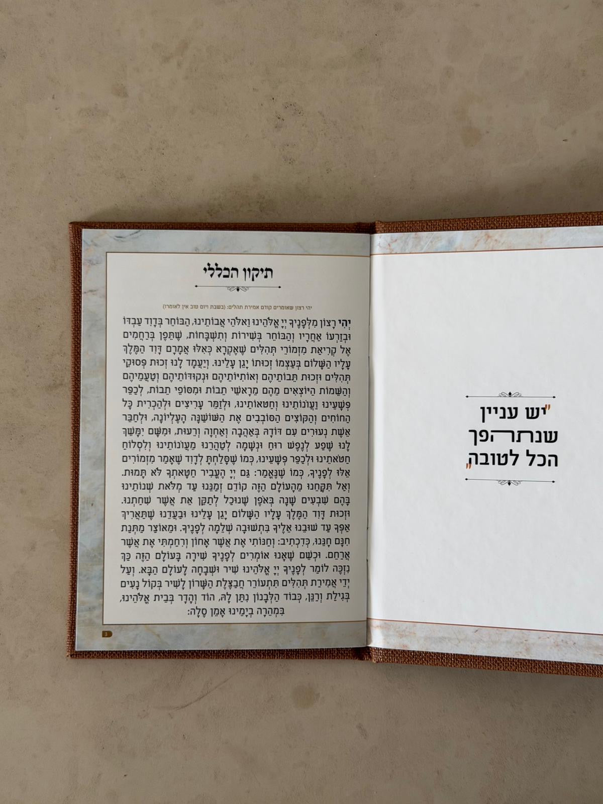 תיקון הכללי - צבע חום
